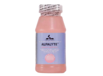 Alfalyte Bubble Gum 240 ml