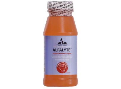 Alfalyte Strawberry 240 ml